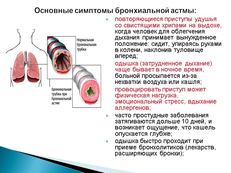 Основные симптомы бронхиальной астмы: повторяющиеся приступы удушья со свистящими хрипами на выдохе, когда человек